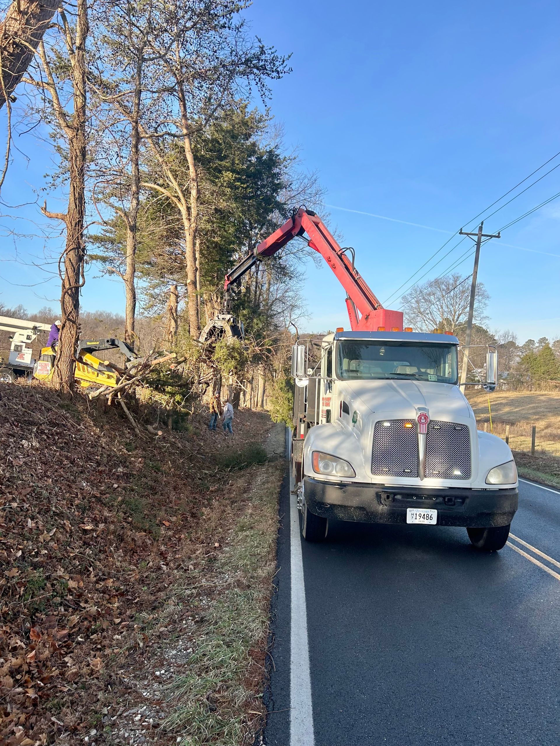 A tree trimming truck with a red arm, trimming trees next to a road, bright sky.