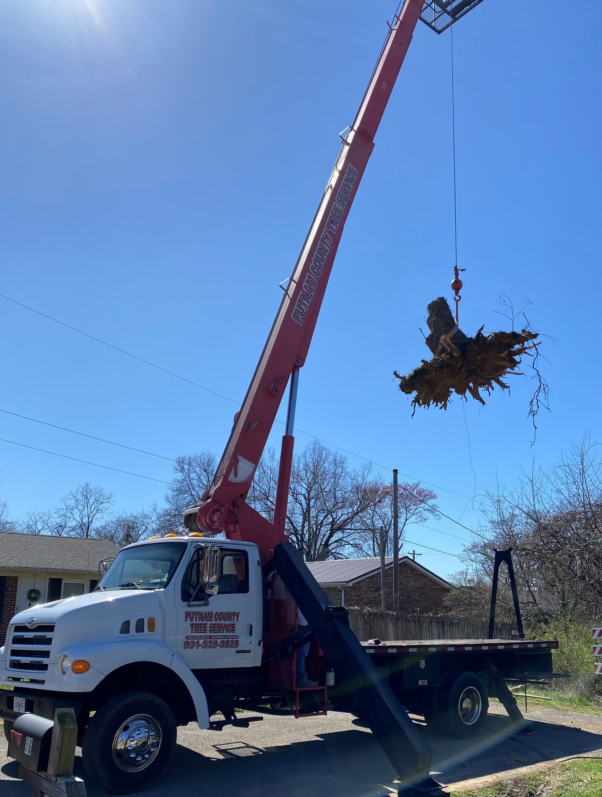 A crane truck lifting a bundle of tree debris against a clear blue sky.