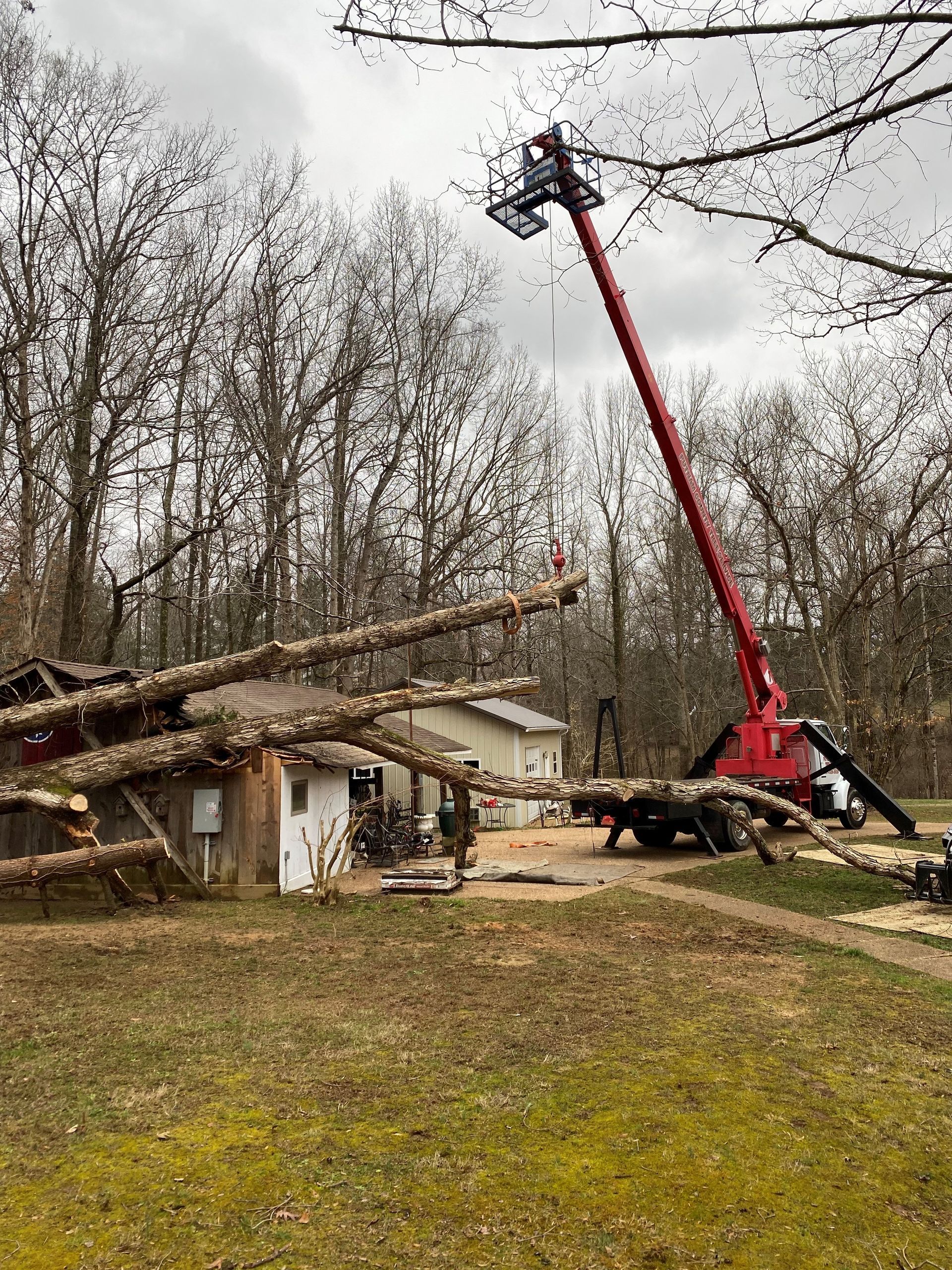 Red lift truck trimming tree branches near a small house. Logs and branches lie on the ground.