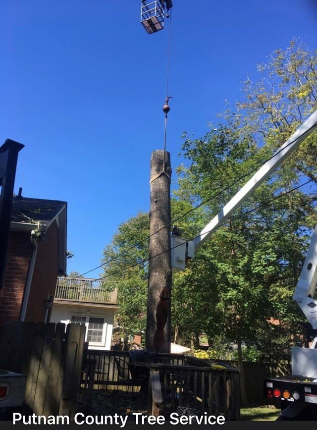 Crane lifting a tall tree trunk, with a worker in a bucket truck, against a blue sky. Putnam County Tree Service logo.