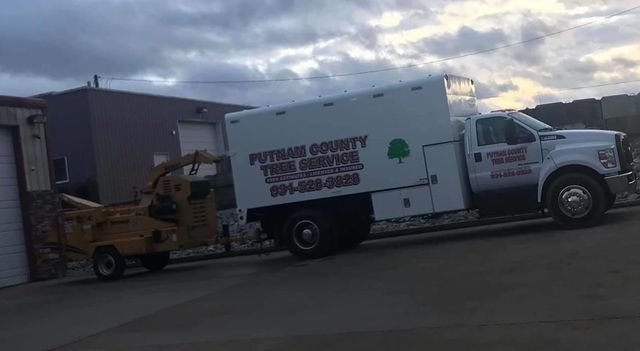 White tree service truck with a trailer, parked in front of a building.