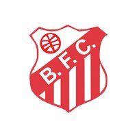 Diretoria Ícone do Clube Brasil Futebol Clube
