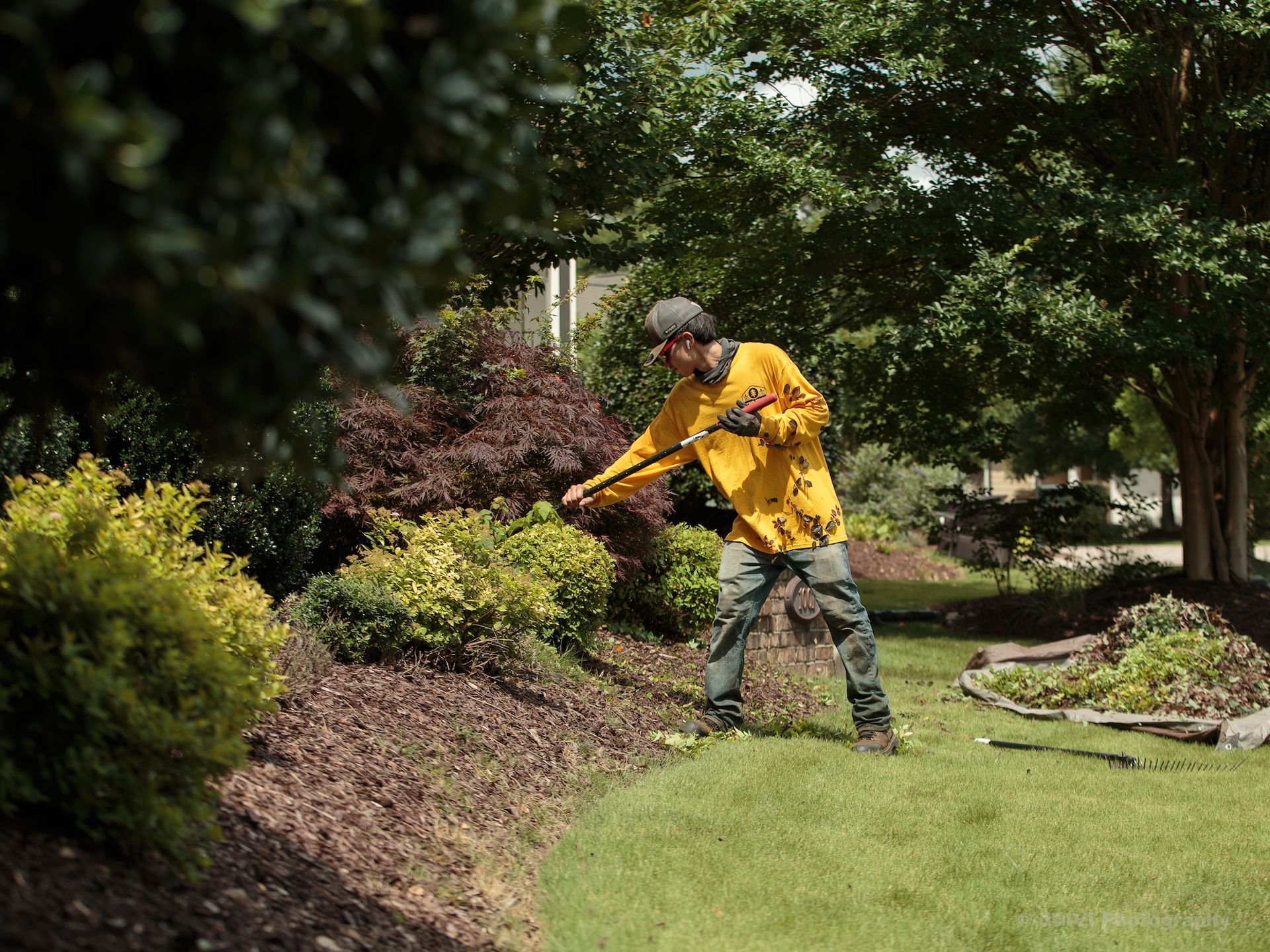 Gardener pruning shrubs with a tool; outdoors with green grass and trees.