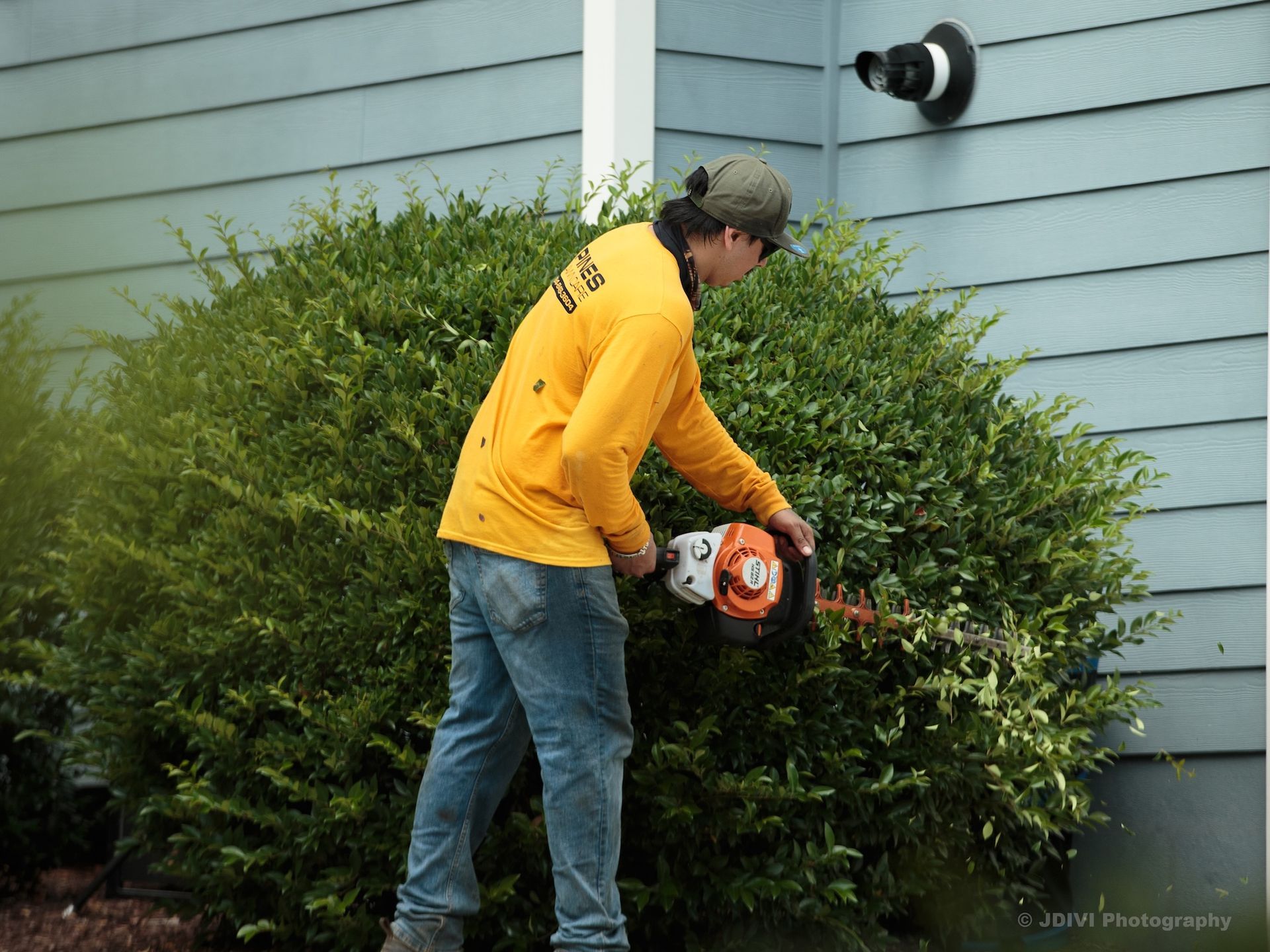 Man trimming a bush with a hedge trimmer near a blue house.
