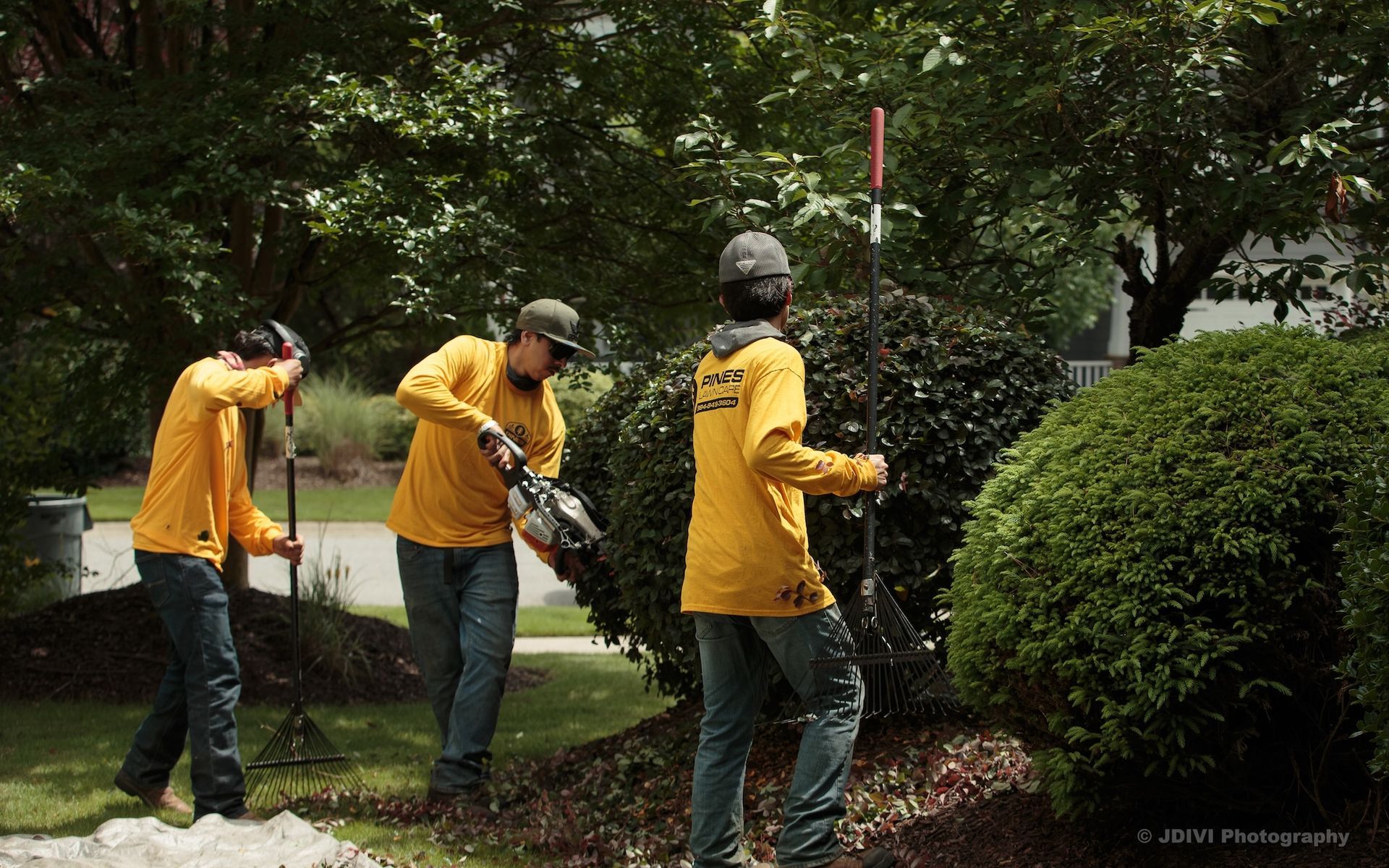 Three landscapers in yellow shirts trim bushes with tools.