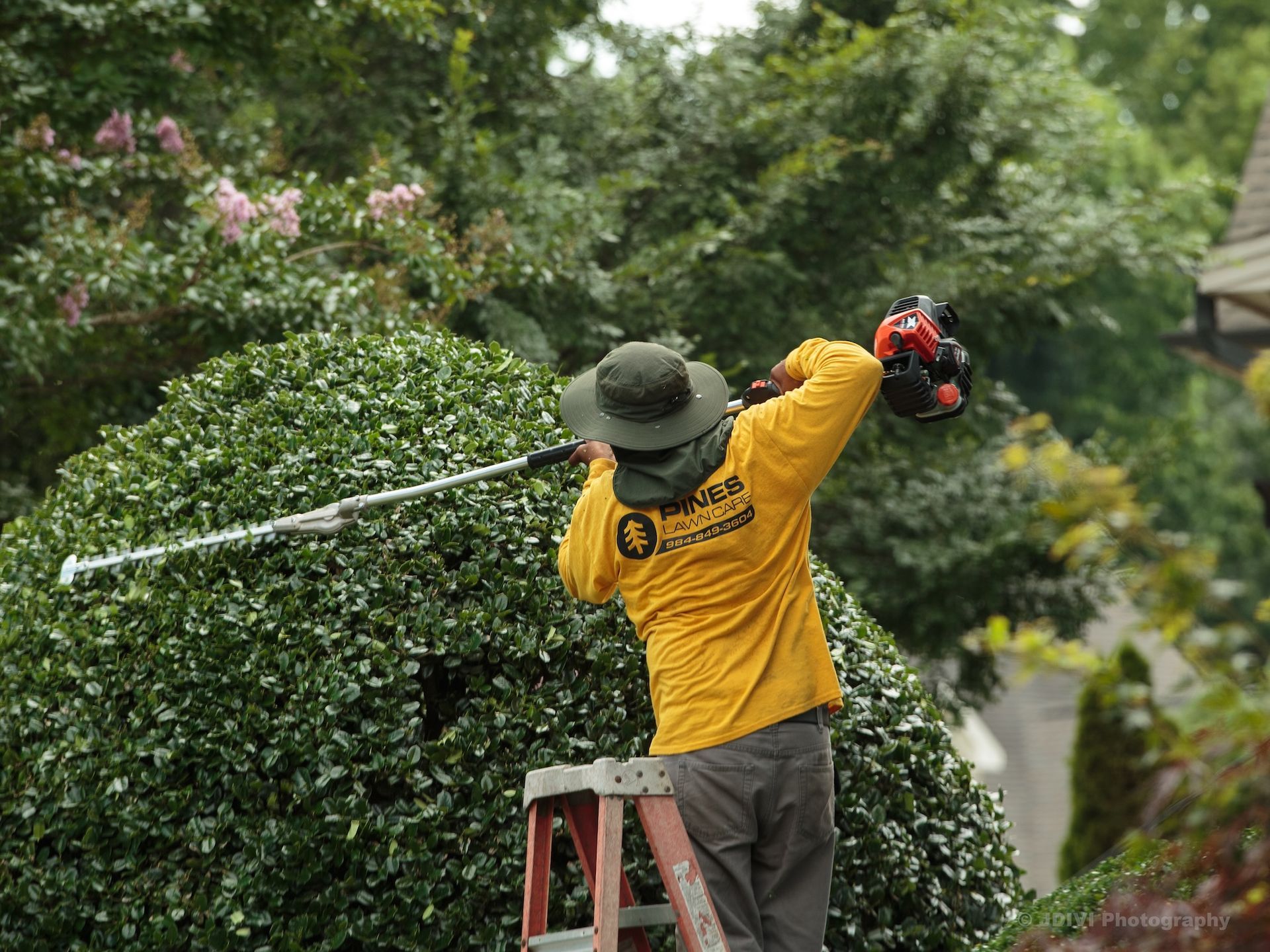 Man trimming bushes on a ladder; wears yellow shirt with logo, hat, and face covering. Outdoors.