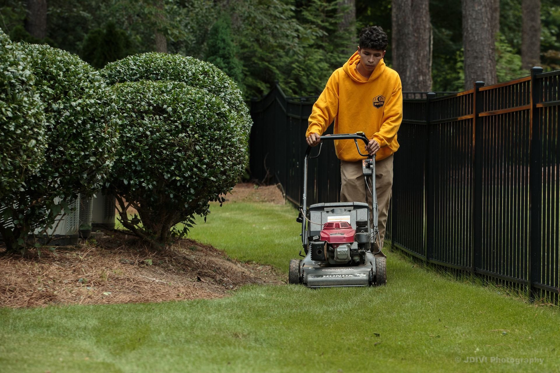 Man in yellow hoodie mowing a green lawn near a black fence and bushes.