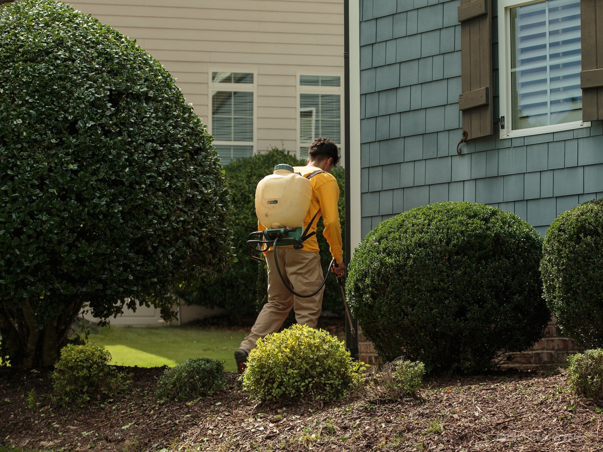 Man in yellow shirt sprays insecticide near a house.
