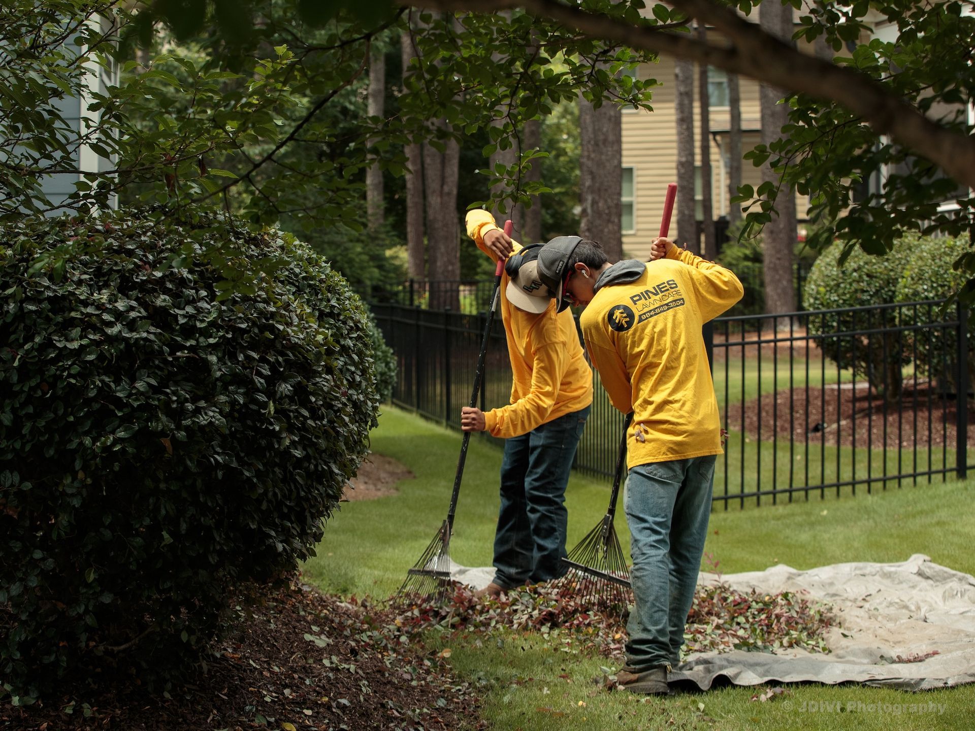 Two men in yellow shirts raking leaves on a lawn in front of an apartment complex.