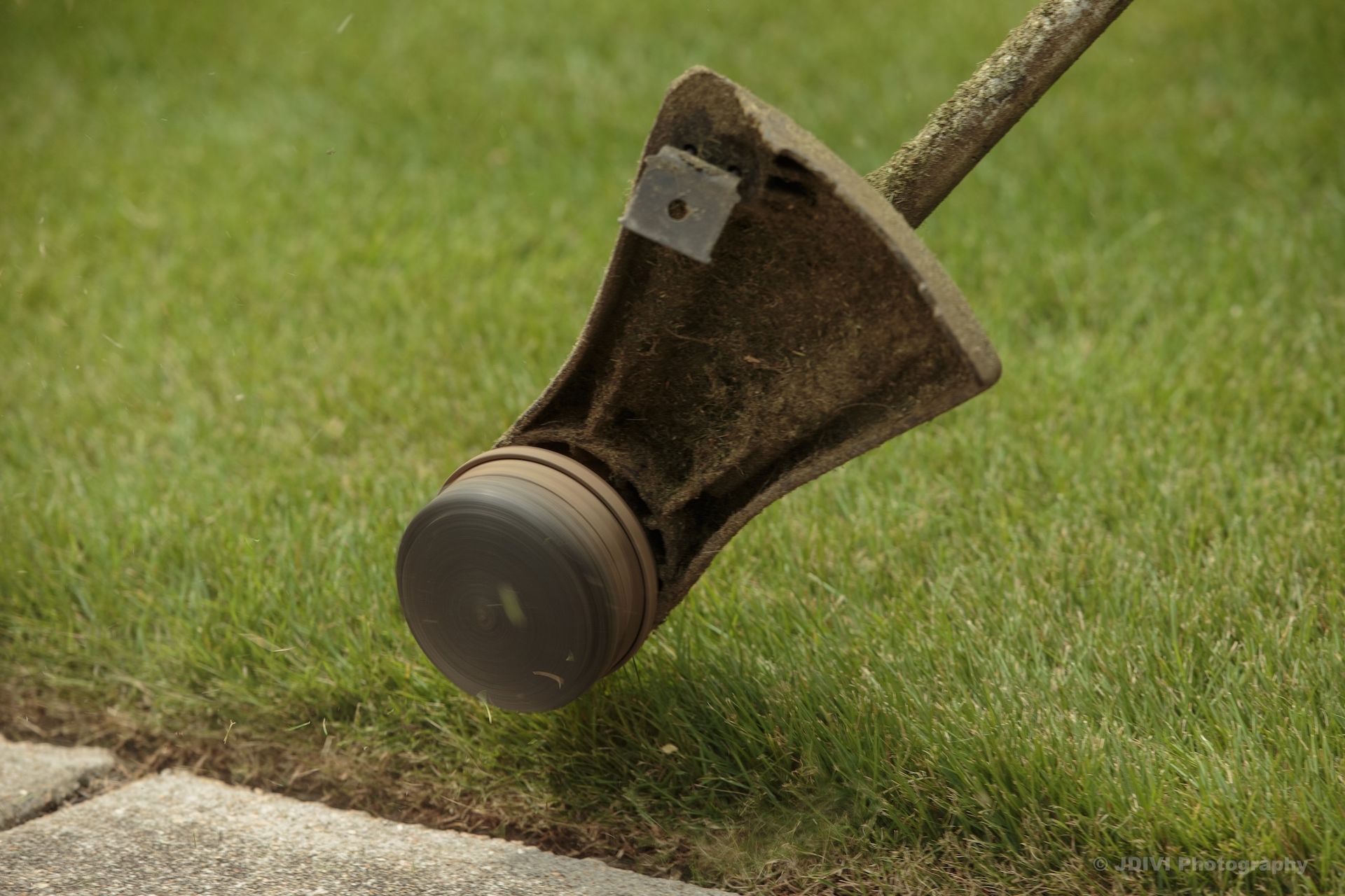 String trimmer head edging a lawn near a sidewalk.