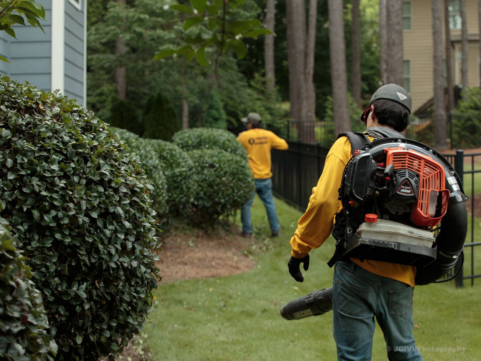 Two landscapers trimming bushes and using a leaf blower in a yard.