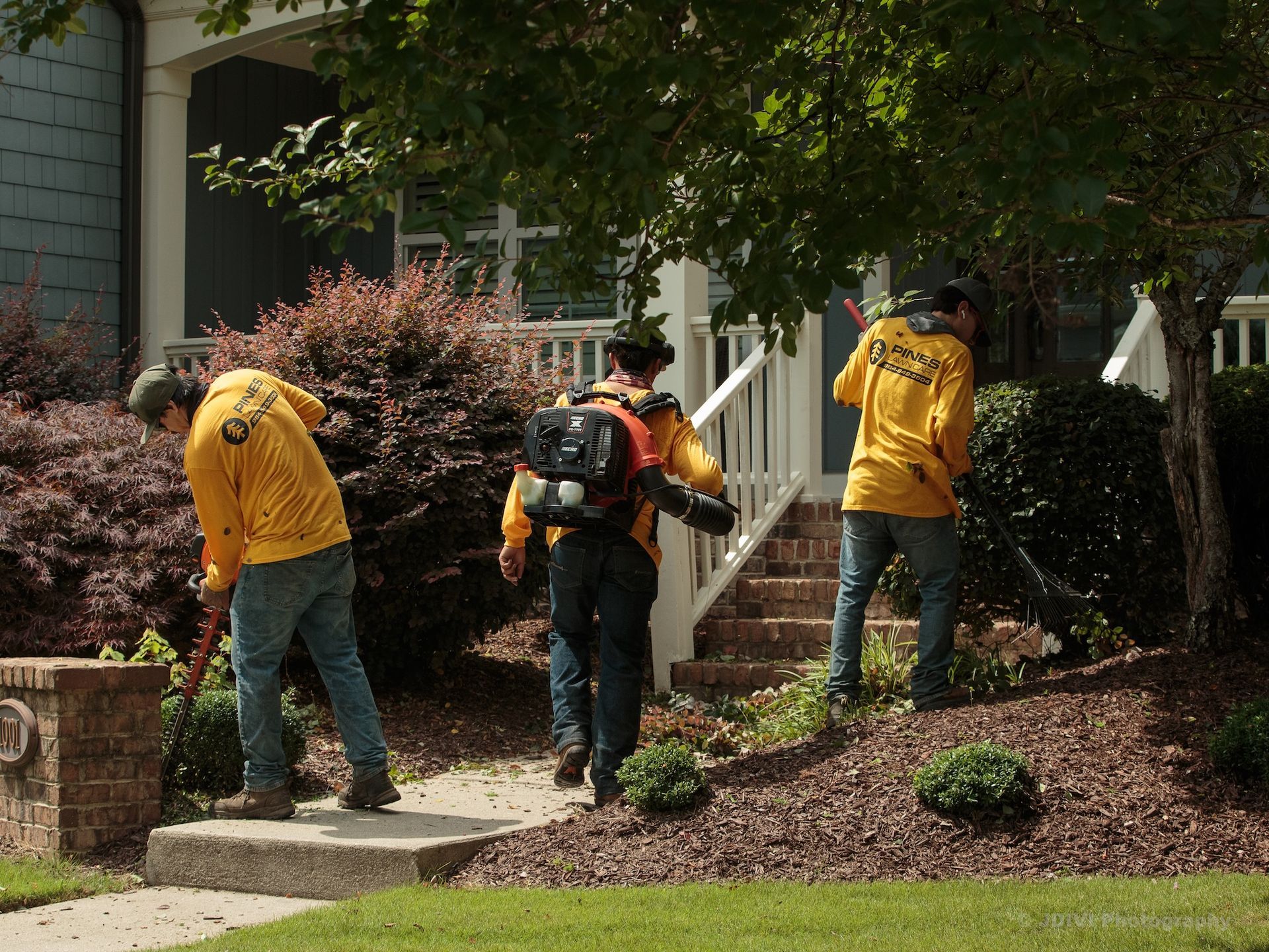 Three landscapers in yellow shirts work on a yard: one with a blower, two with trimmers.