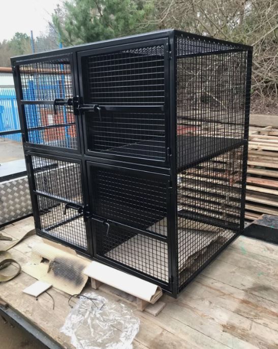 Quad Dog Cage w Divider