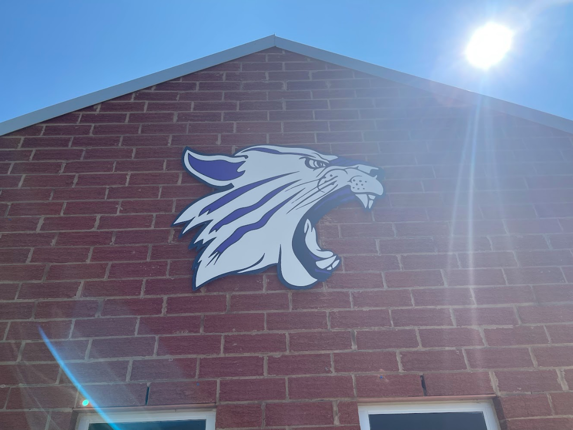 Outdoor signage for high school cut from ACM to look like wildcat
