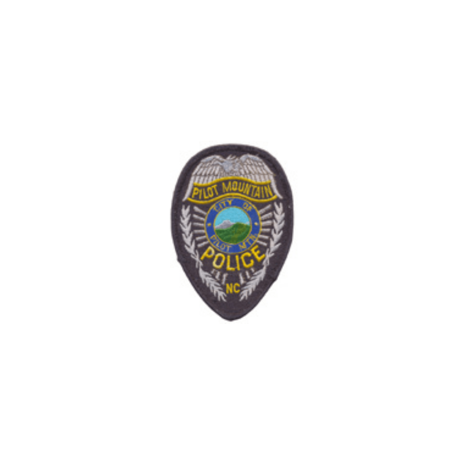 Pilot Mountain Police Department, one of our many clients