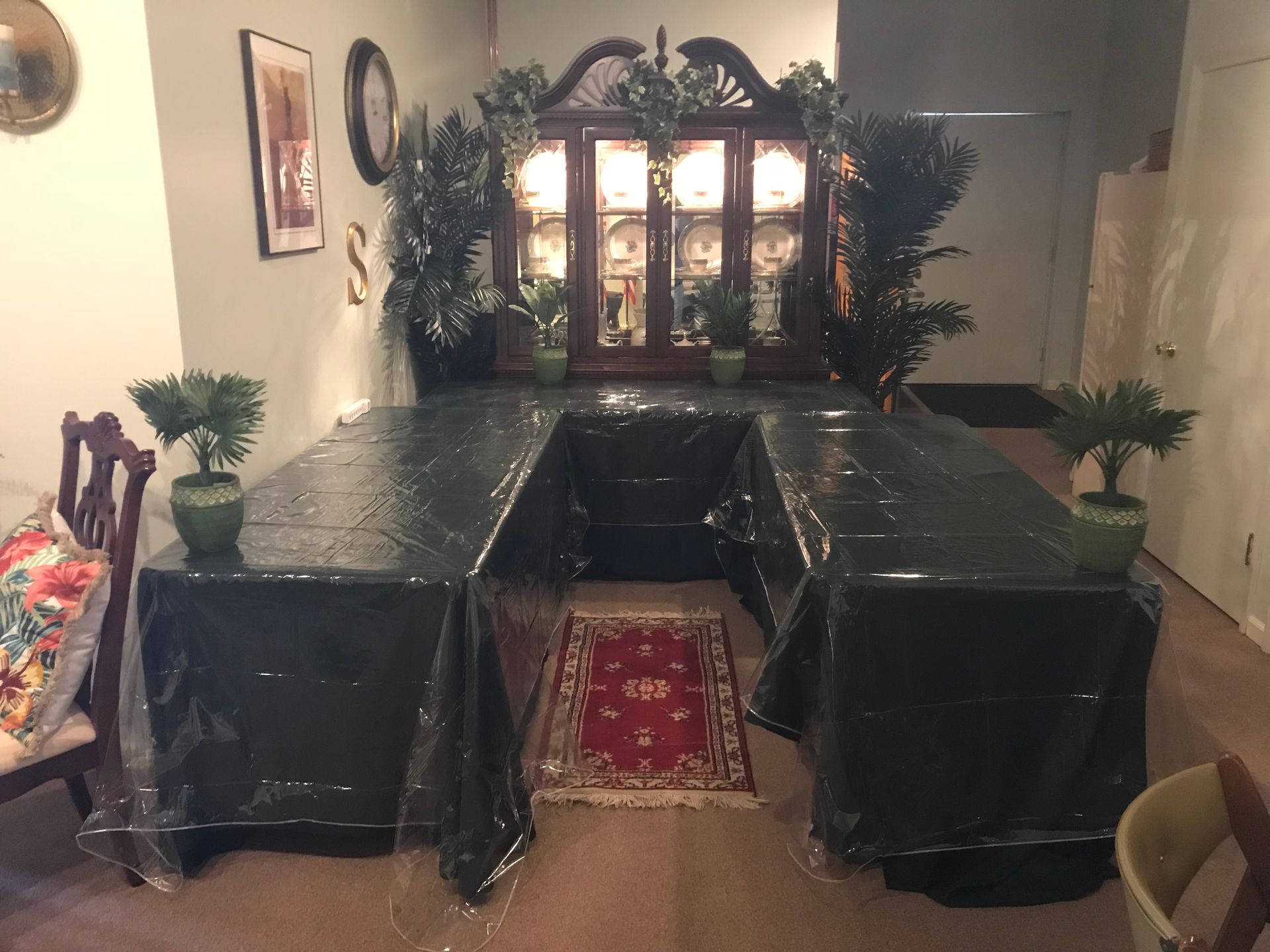 A room with two tables covered in plastic and plants