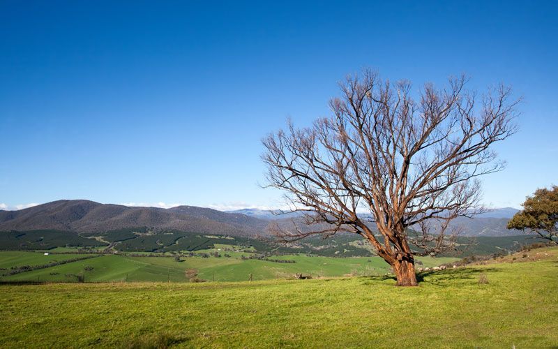 Green Valley — ACG Windows & Glass in Latrobe Valley, VIC