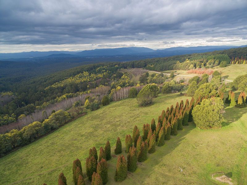 Dandenong Beautiful Mountain — ACG Windows & Glass in Dandenong, VIC