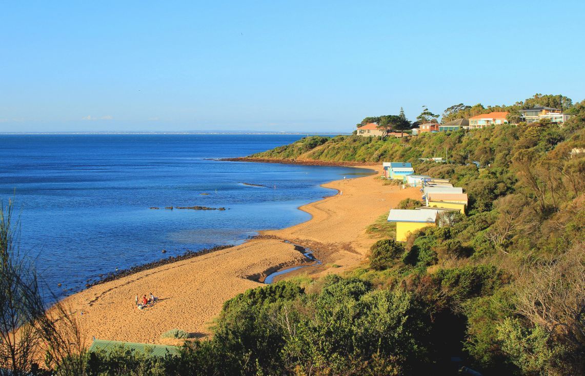 A Beach with A Lot of Sand and Trees Next to The Ocean — ACG Windows & Glass in Mount Eliza, VIC