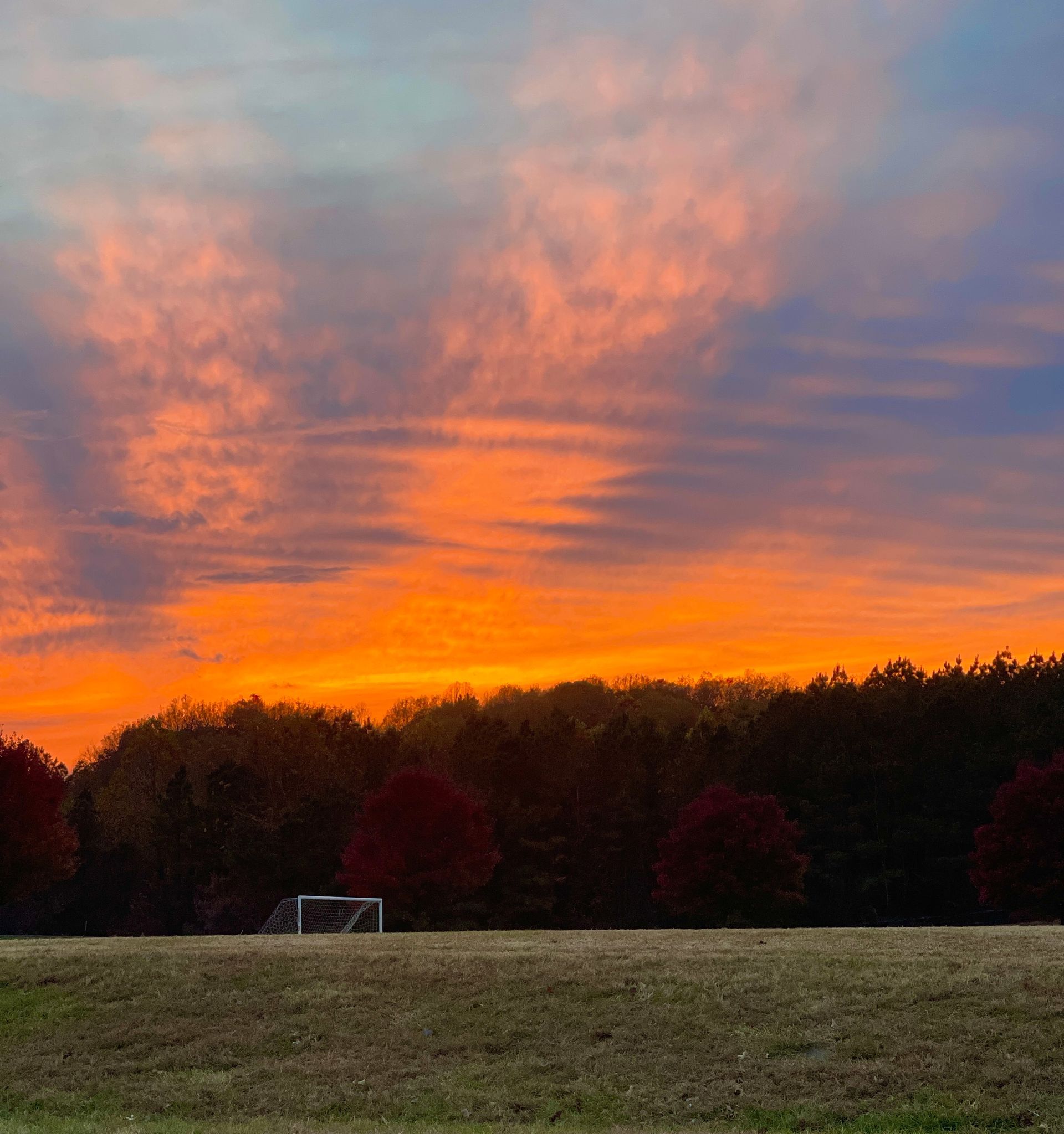 Logo for Halpern Travel