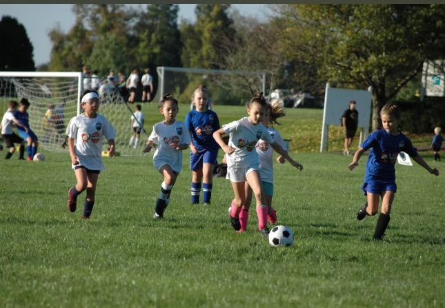 Children playing soccer for Northern Piedmont Sports Club