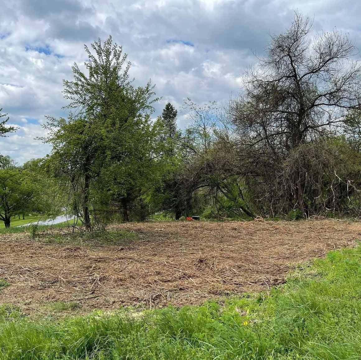 A recently tilled garden plot surrounded by trees and green grass under a cloudy sky.