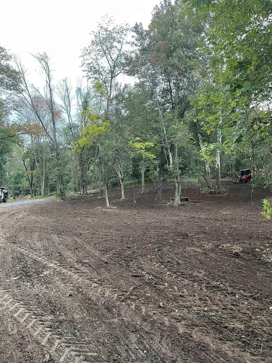 Dirt clearing in front of trees, with a vehicle in the background. Cloudy sky.