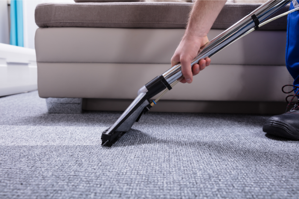 carpet cleaning