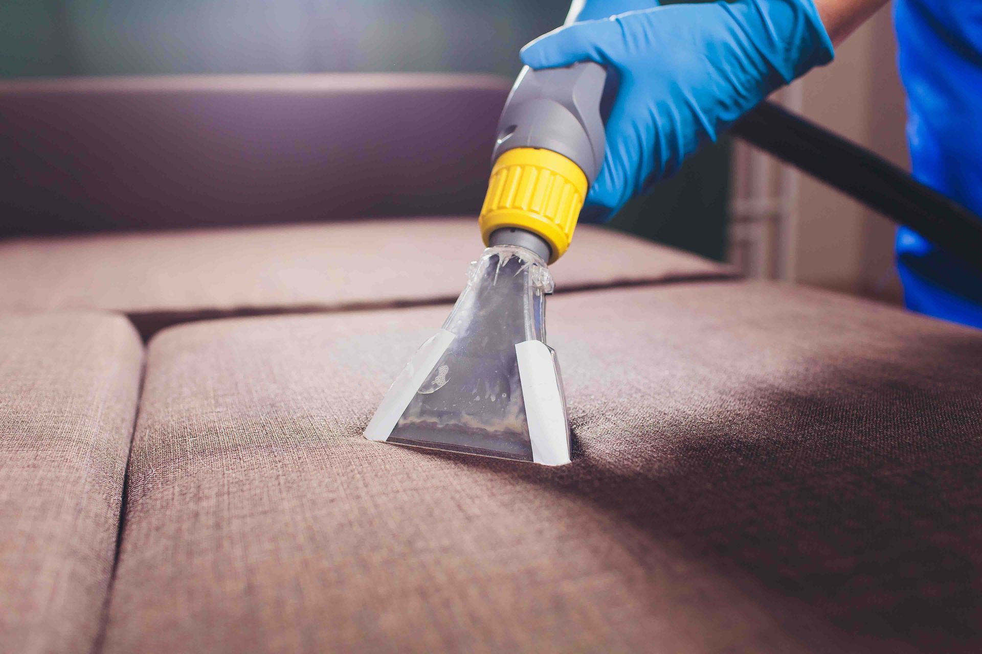 carpet cleaning