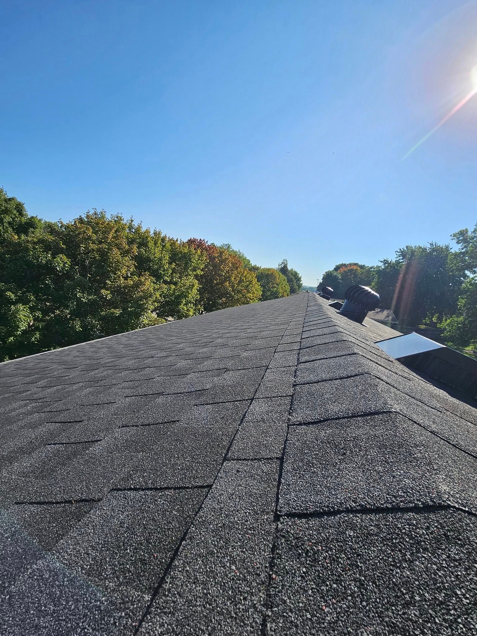 View of a dark asphalt shingle roof, trees in the background, and a bright blue sky.