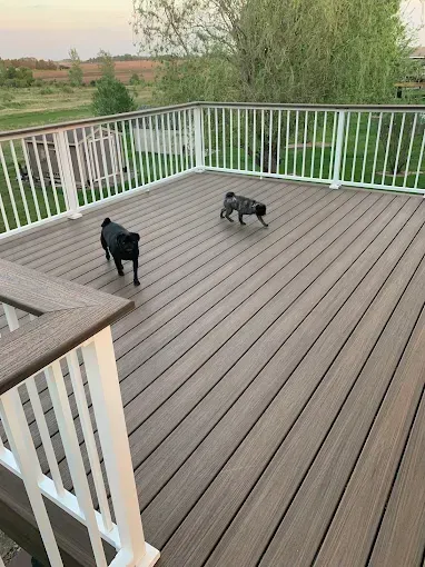 Two pugs on a large wooden deck with white railings, overlooking a field.