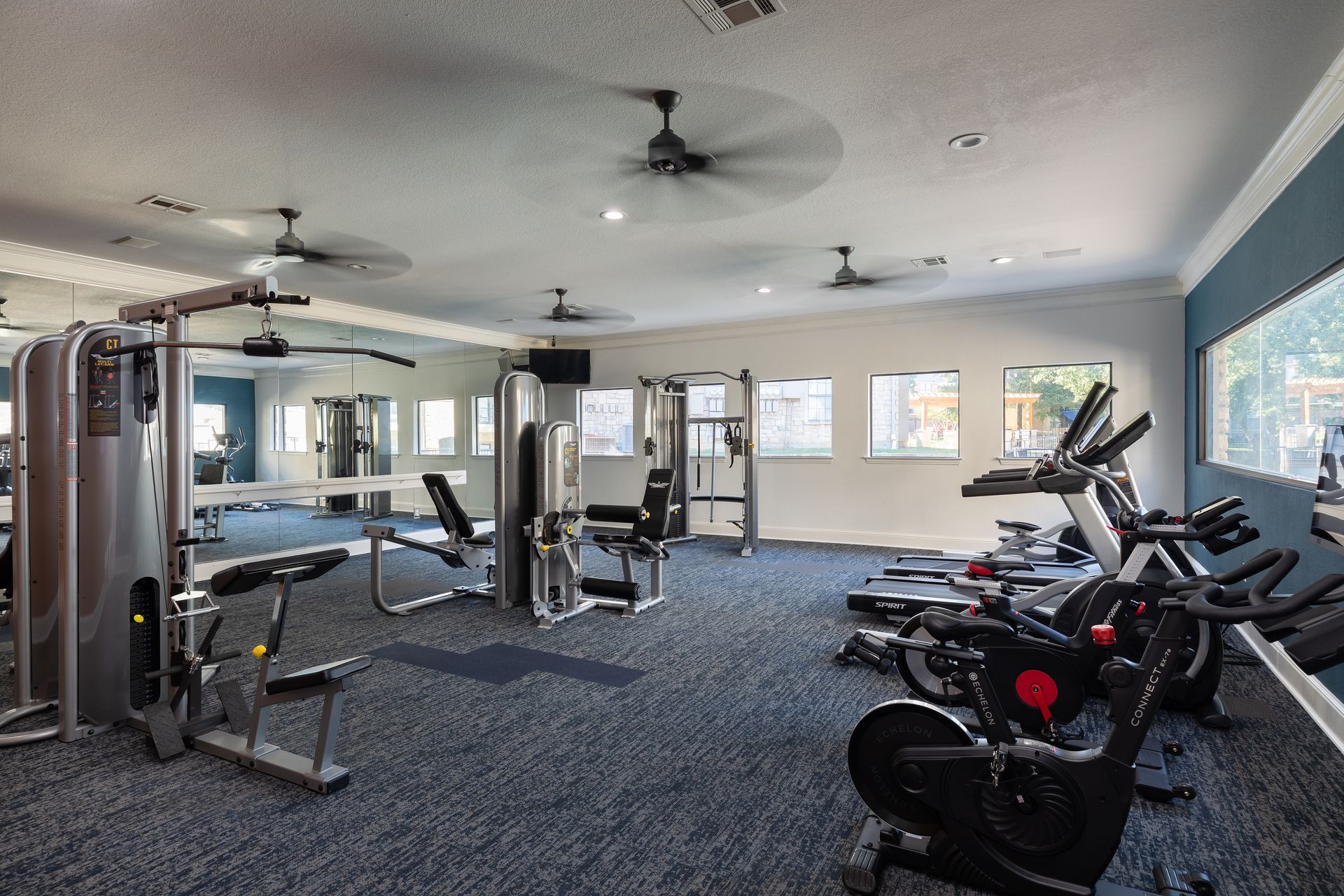 Gym with exercise equipment, blue carpet, white walls, and multiple windows.