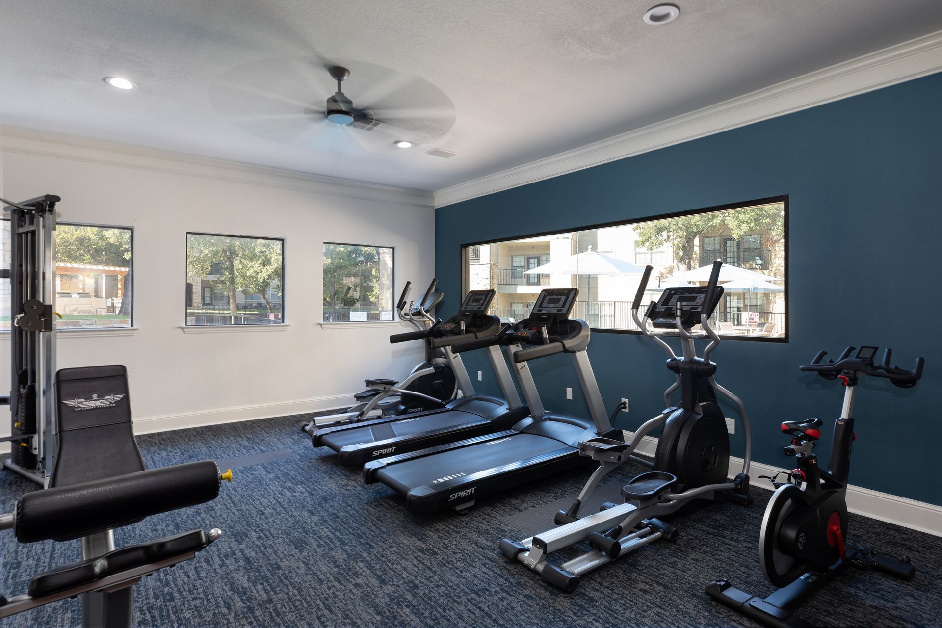 Gym interior with treadmills, stationary bike, weight machine, and windows. Blue wall and carpet.