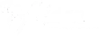 The Aidan logo.