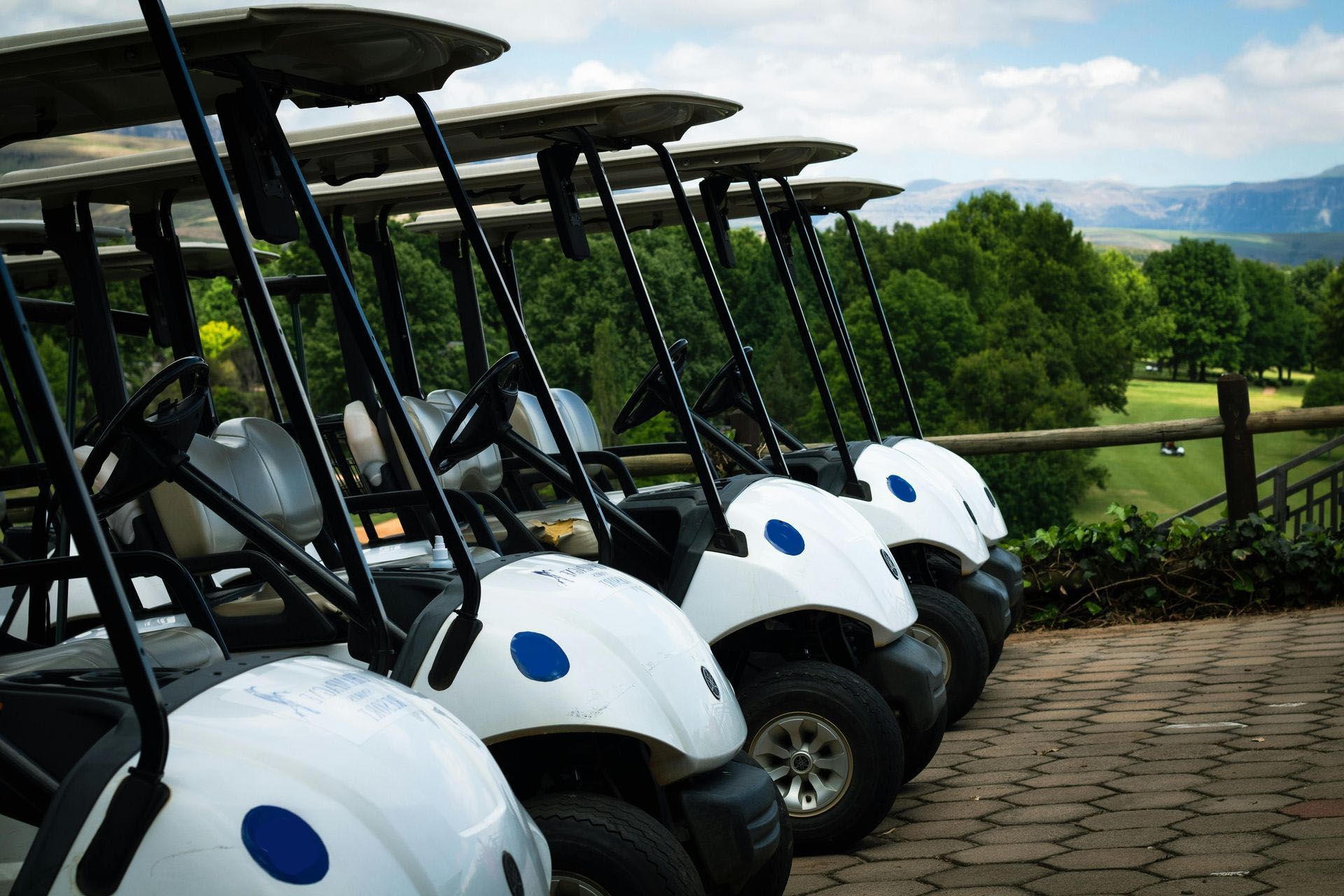 Miller Family Insurance Niles, Ohio Serving Warren, Cortland, Liberty, & Girard Ohio Golf Cart Insurance