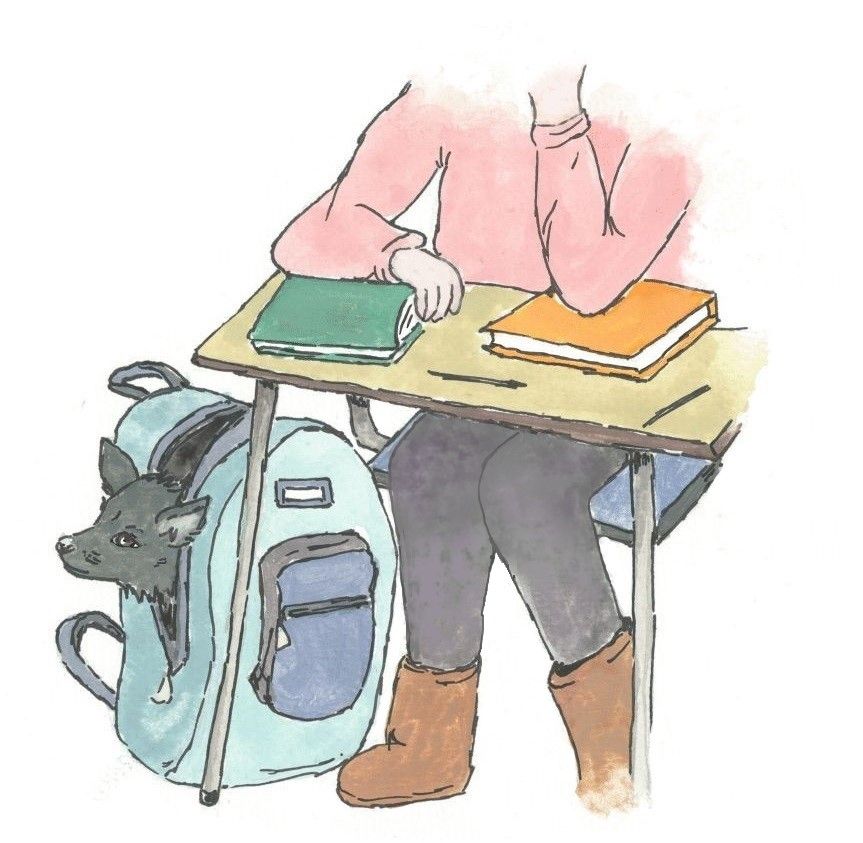 Kitty in a backpack at school