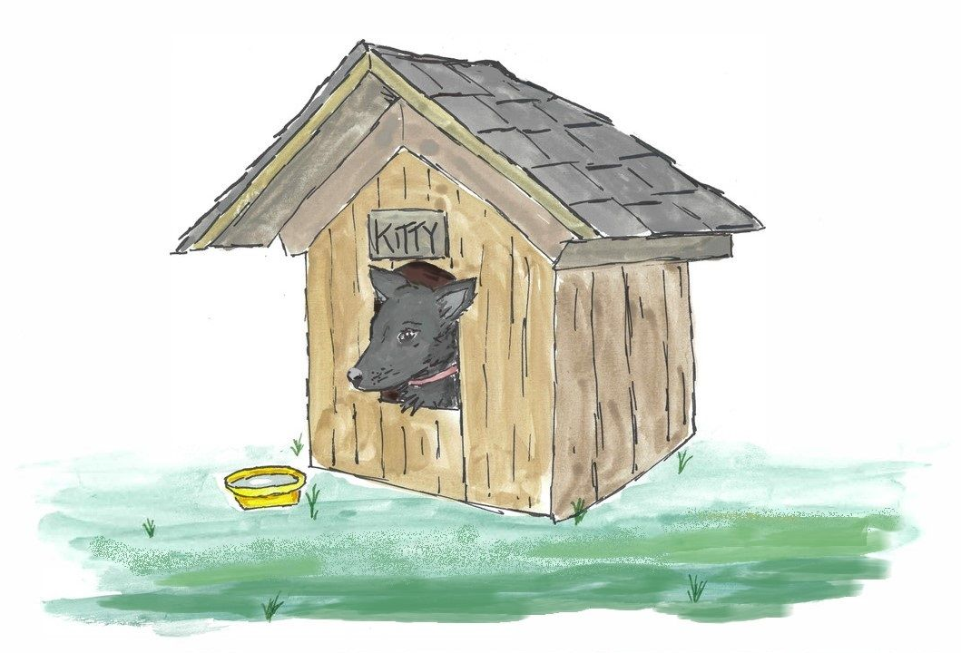 Kitty in her doghouse