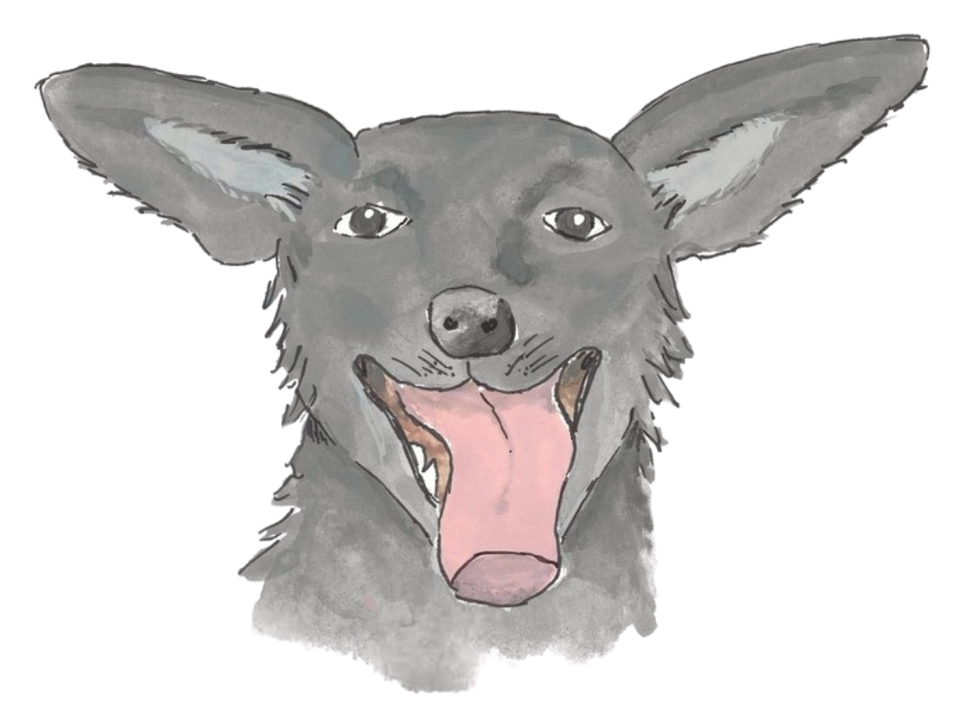 The dog named Kitty's face