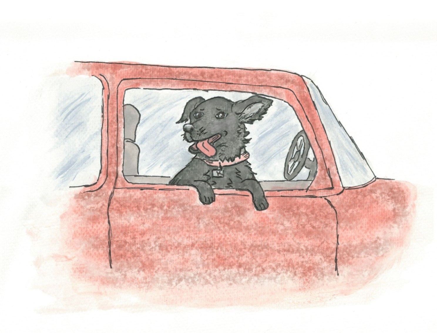 Kitty sitting in a red truck