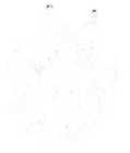 Kitty's paw print in white