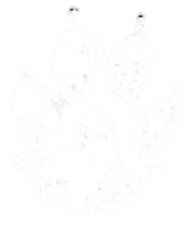 Kitty pawprint in white