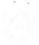 Kitty pawprint in white
