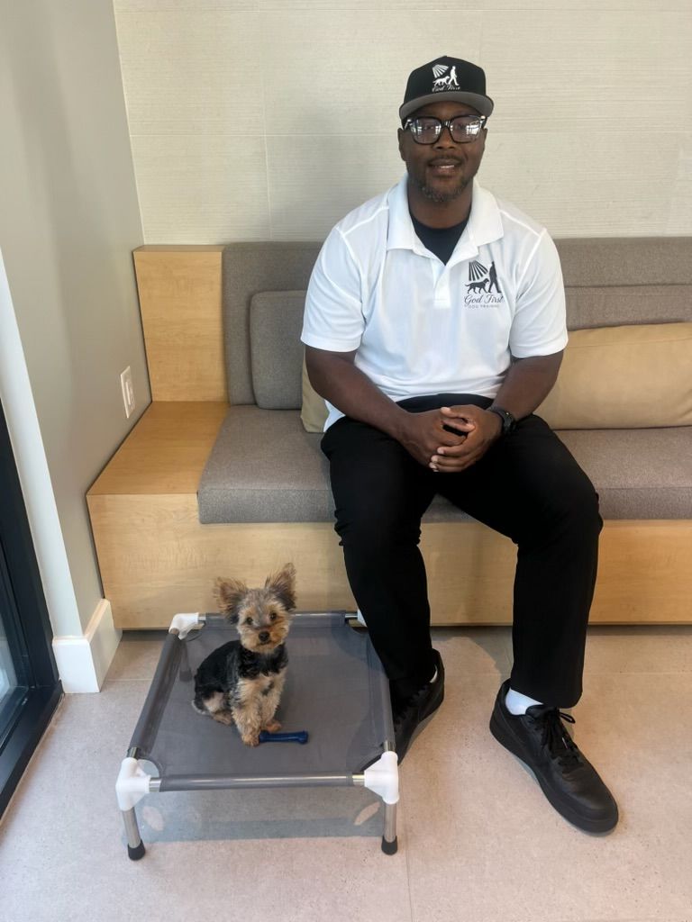 Woman petting a golden retriever in a sunny backyard.