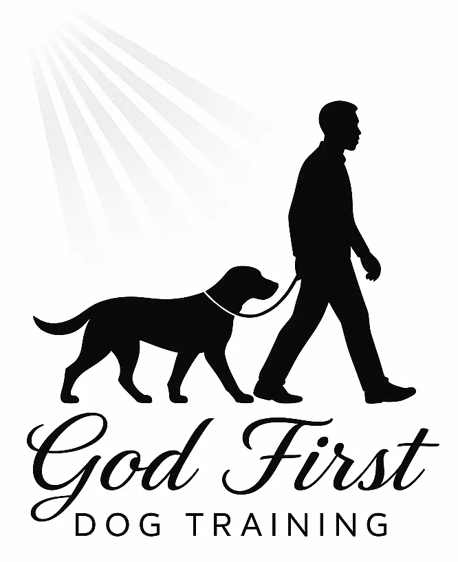 Silhouette of a person walking a dog on a leash. Text reads 