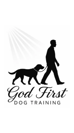 Silhouette of a person walking a dog, with light rays, and text 