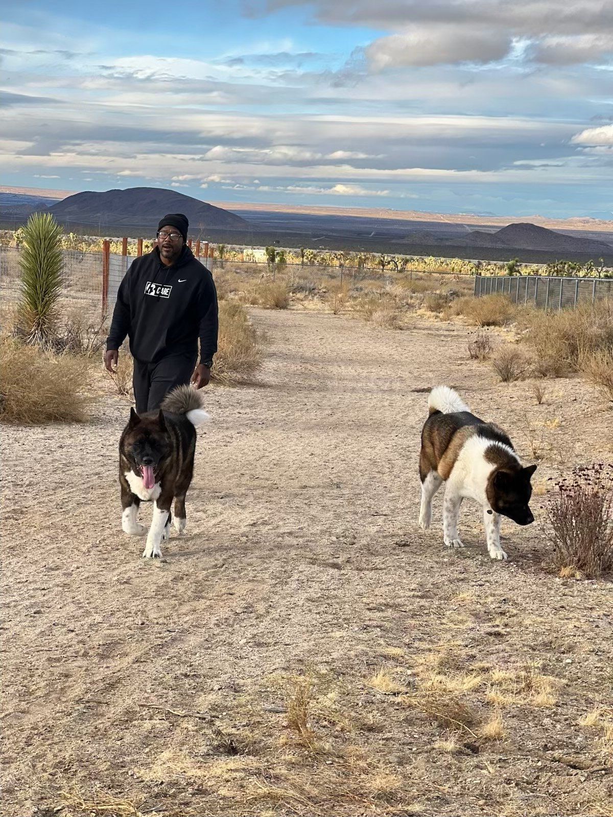 Man walking two Akita dogs on a dirt path in a desert landscape.