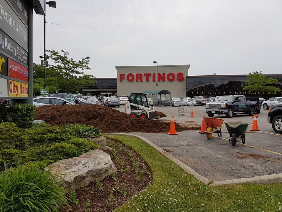 A Bobcat and workers applying mulch in a parking lot near a Fortino's grocery store.