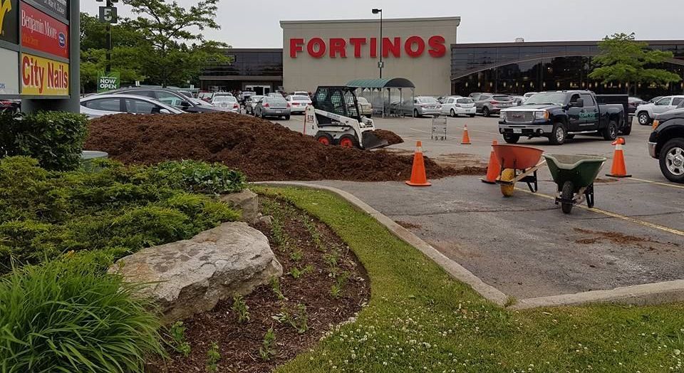 A landscaping crew works with a skid steer and mulch pile in the parking lot in front of a Fortinos grocery store.