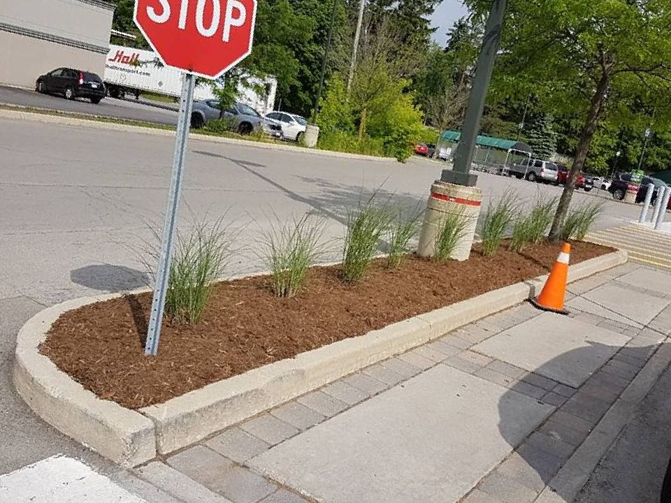 A curb with mulch and grass, a stop sign, and a traffic cone in a parking area.