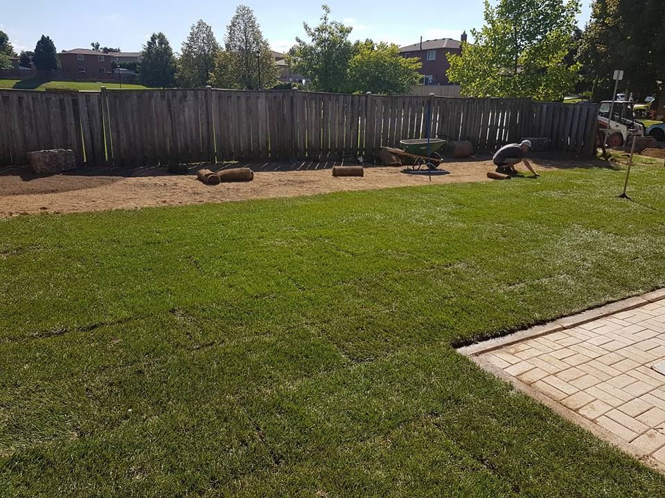 A person laying sod in a backyard with a wooden fence. Green grass and patio are visible. Sunny day.